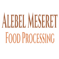 Alebel Meseret Food Processing